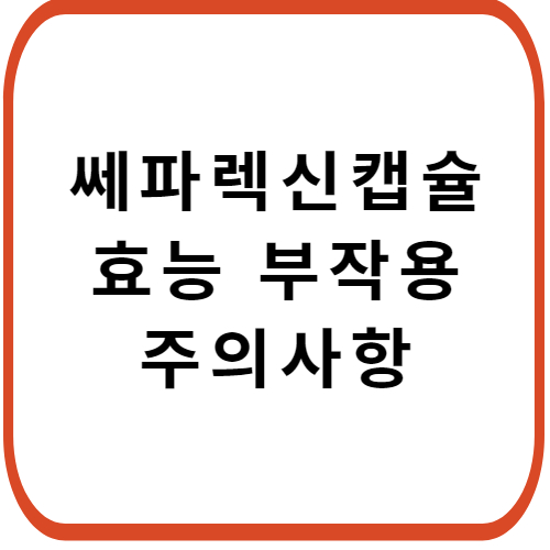 쎄파렉신-캡슐-성분-효능-부작용-썸네일