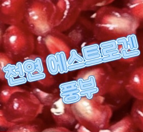 일본-석류로겐-솔루션-프리미엄