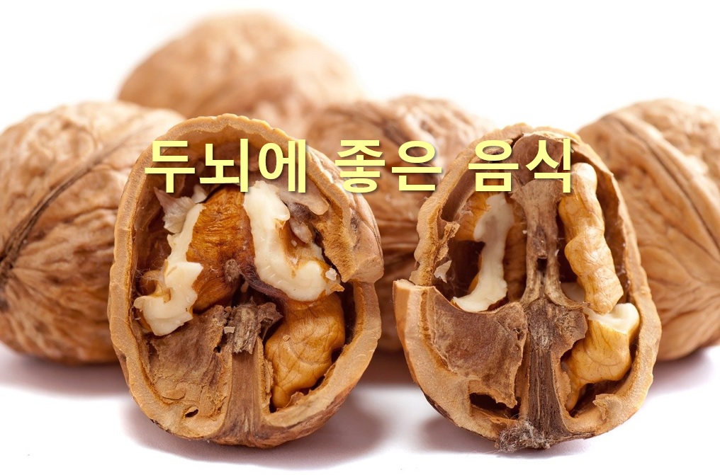  두뇌에 좋은 음식과 두뇌에 좋은 영양제