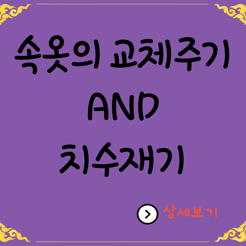  자신에게 맞는 속옷 치수 재는 방법과 속옷 교체 주기
