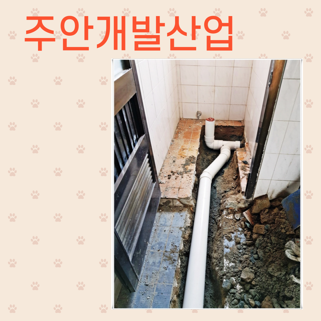  변기 오수관막힘 뻥 뚫기 - 포항, 경주
