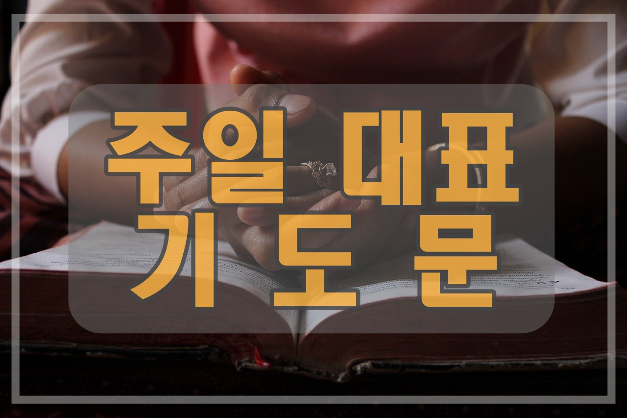  8월 대표 기도문(넷째 주)