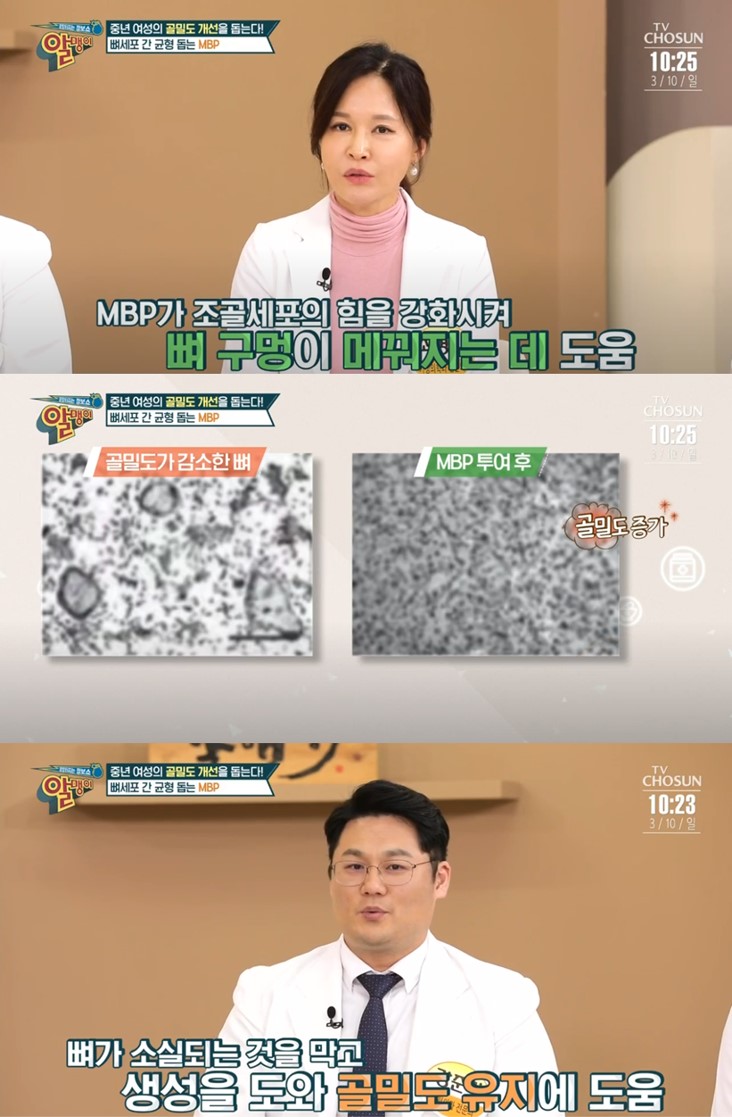MBP 엠비피 골다공증 개선 유단백추출물 효능 정보 안내