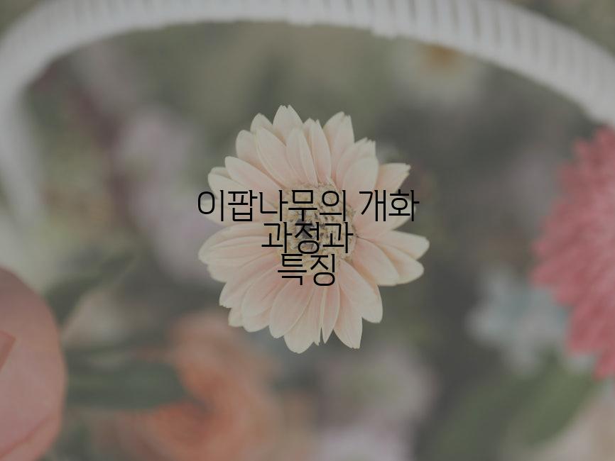 이팝나무의 개화 과정과 특징