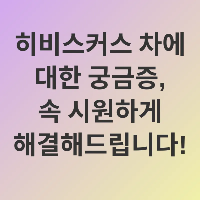 히비스커스차 효능_4