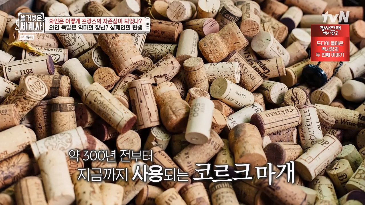 벌거벗은 세계사.E121.231018p-NEXT.mp4_20240518_165537.622.jpg