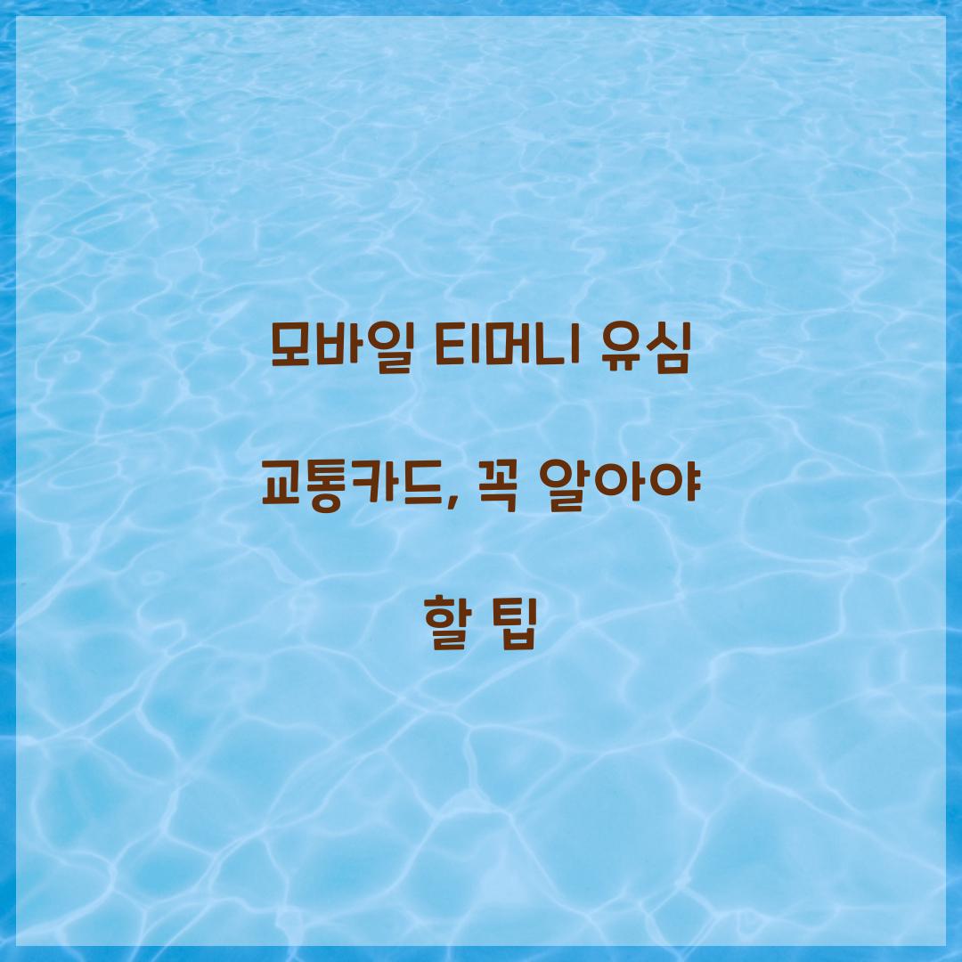 모바일 티머니 유심 교통카드