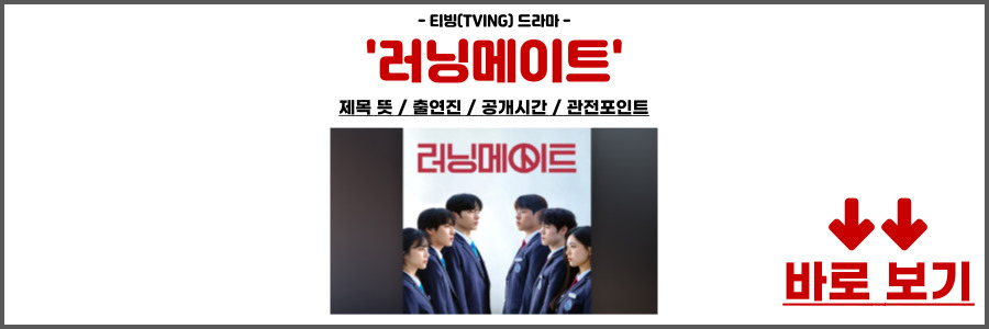 러닝메이트