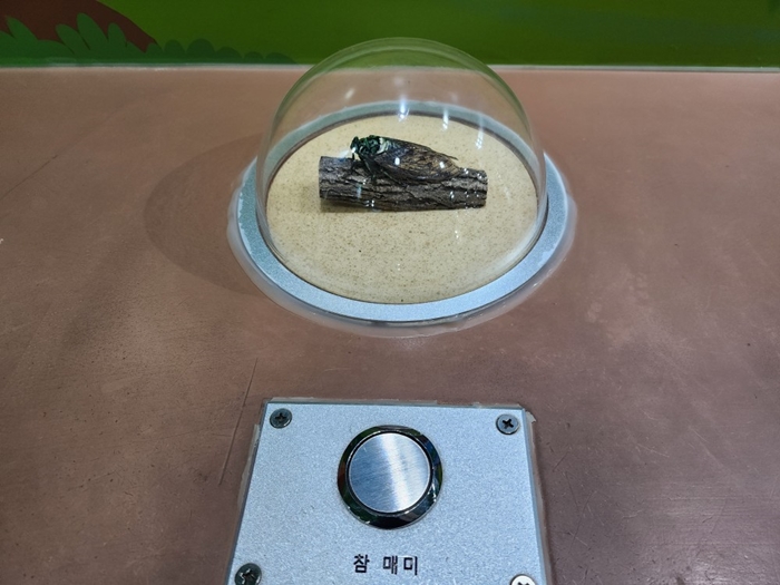 사계절 아이들과 함께 가볼만한 경기도 남양주의 어린이시각교육원에 다녀왔습니다. 20