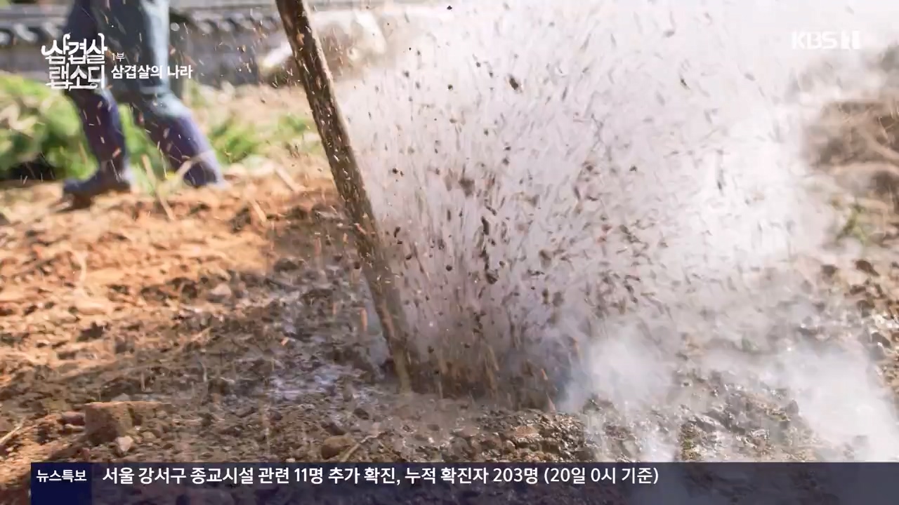 삼겹살 랩소디.E01.201221p-NEXT.mp4_20240221_195418.090.jpg