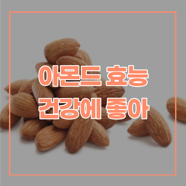  아몬드 효능을 알고 내 몸을 만들자
