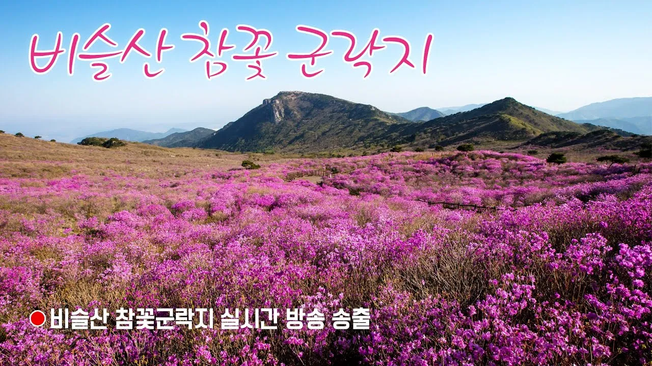 비슬산 참꽃축제 등산코스 맛집_6