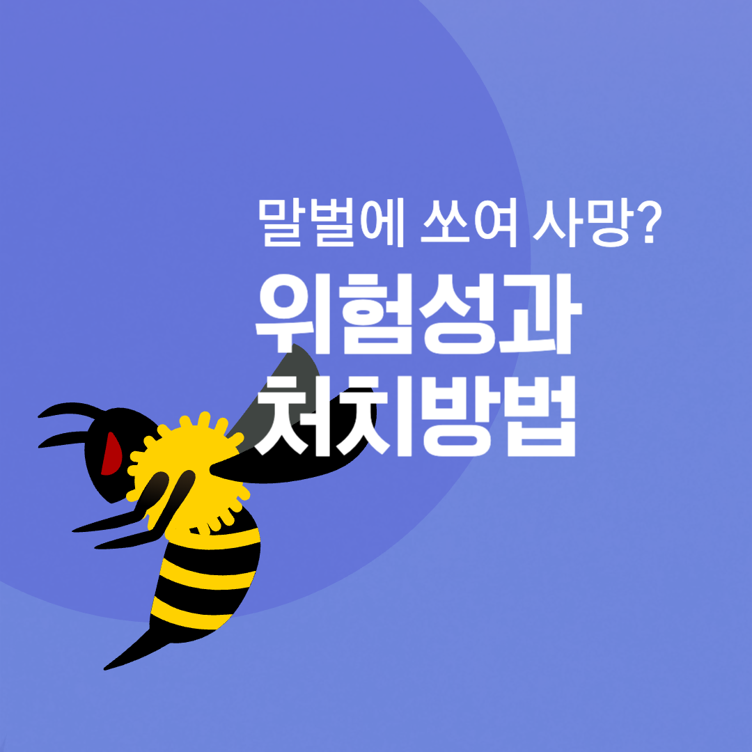  말벌에 쏘여 사망? 말벌에 쏘였을 때의 위험성과 처치방법
