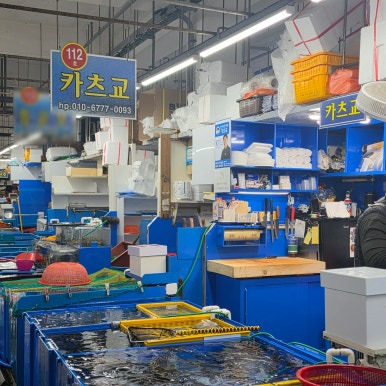 카츠교 사진 3