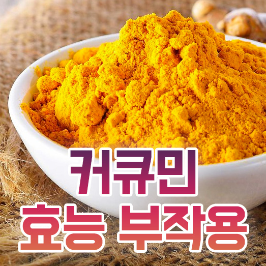 강황 대 강황의 효과 및 부작용 6