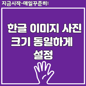 한글 이미지 사진 크기 동일하게 설정