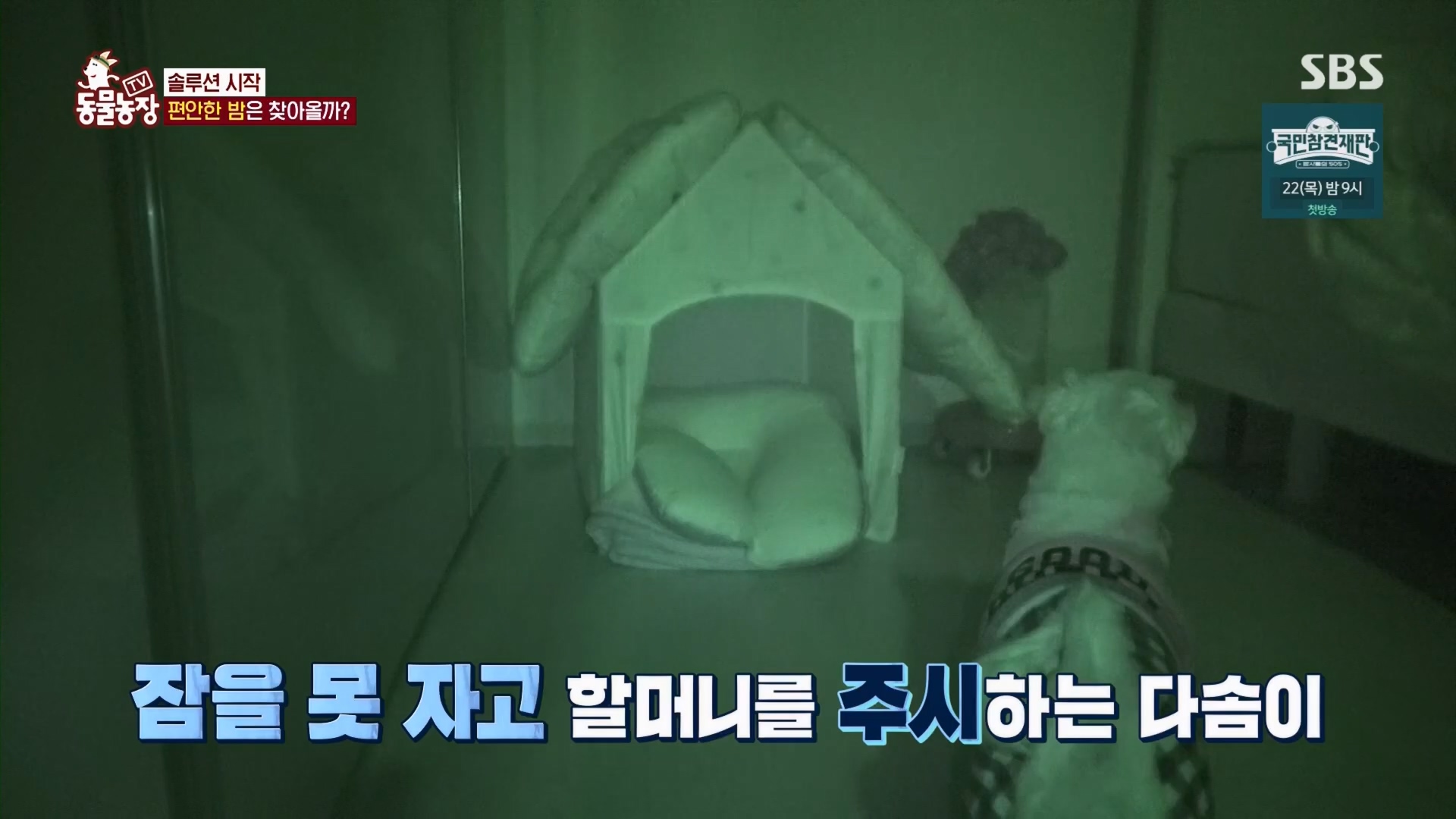 TV 동물농장.E1159.240218p.H264-F1RST.mp4_20240218_170003.789.jpg