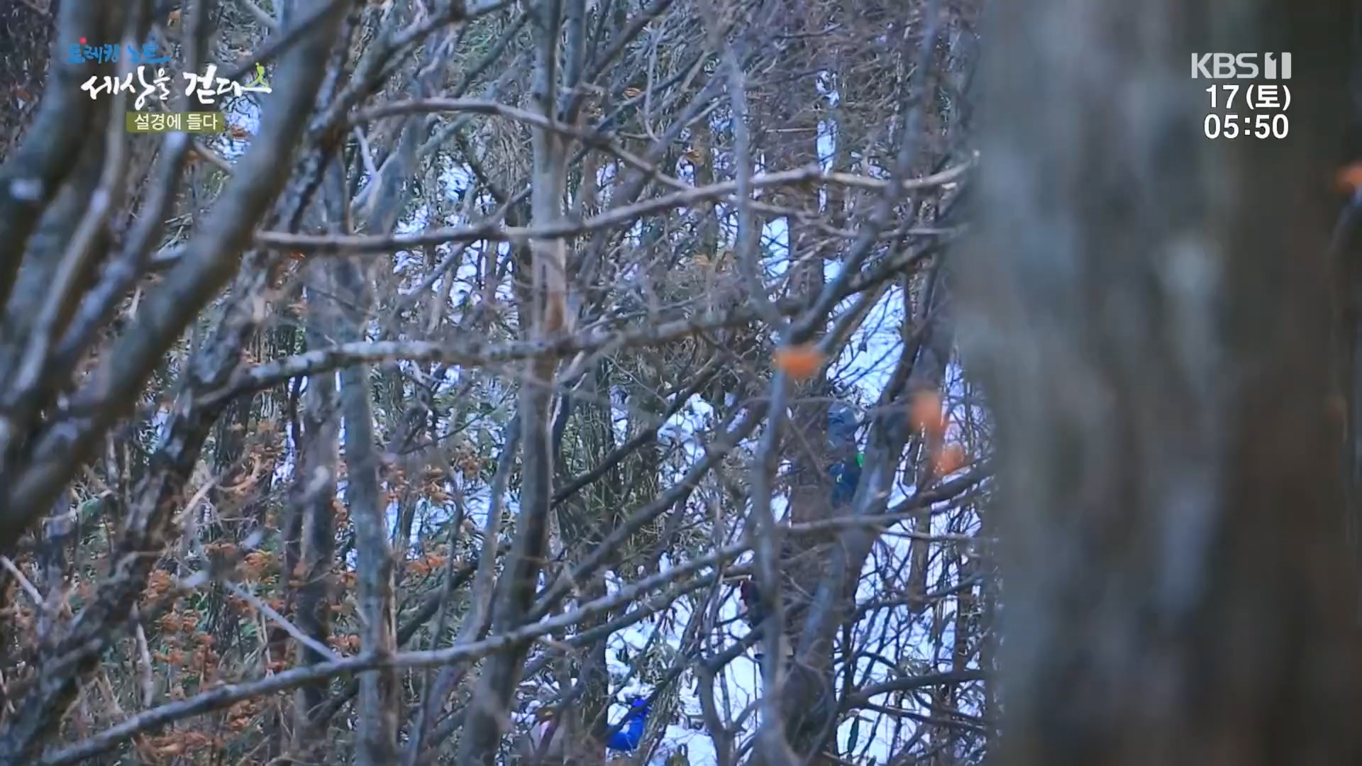 트레킹노트 세상을 걷다.E308.240217p.H264-F1RST.mp4_20240316_173545.997.jpg