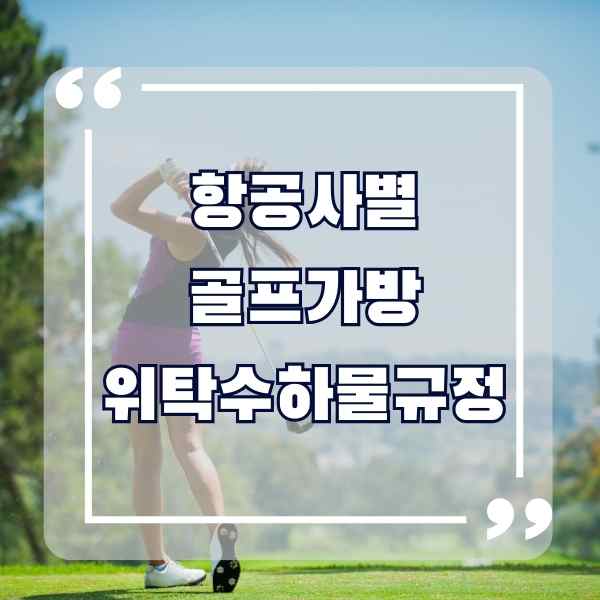 골프치는 여자 썸네일