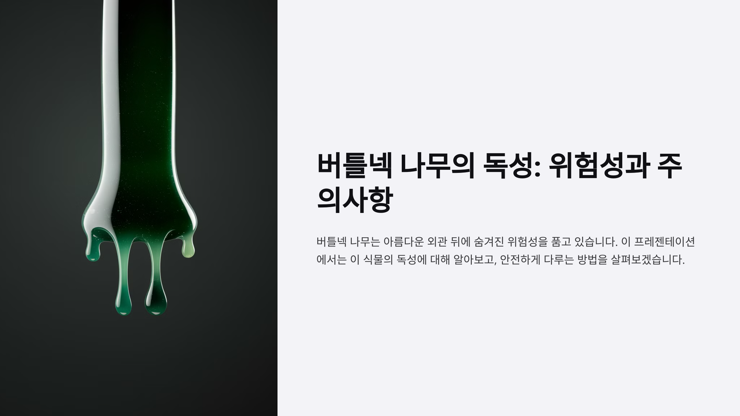 버틀 이미지