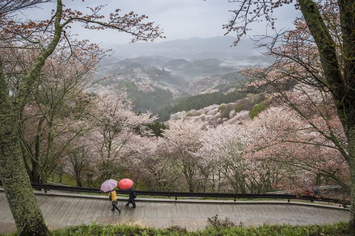 마음수양시