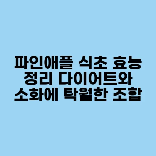 파인애플 식초 효능 정리 다이어트와 소화에 탁월한 조합