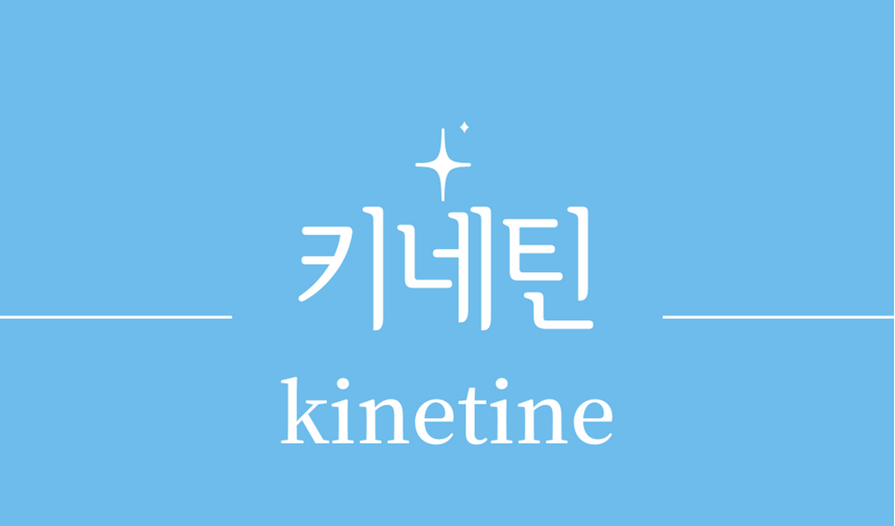 &#39;키네틴(kinetine)&#39;