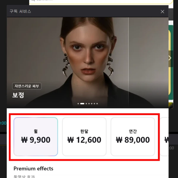 pro-플랜