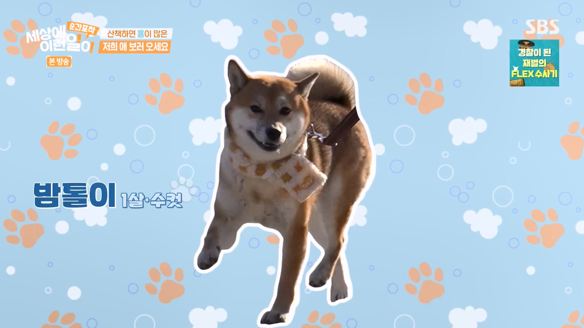 순간포착 세상에 이런일이.E1261.240120p-NEXT.mp4_20240121_133929.826.jpg