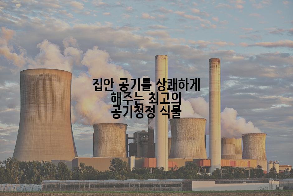 집안 공기를 상쾌하게 해주는 최고의 공기청정 식물