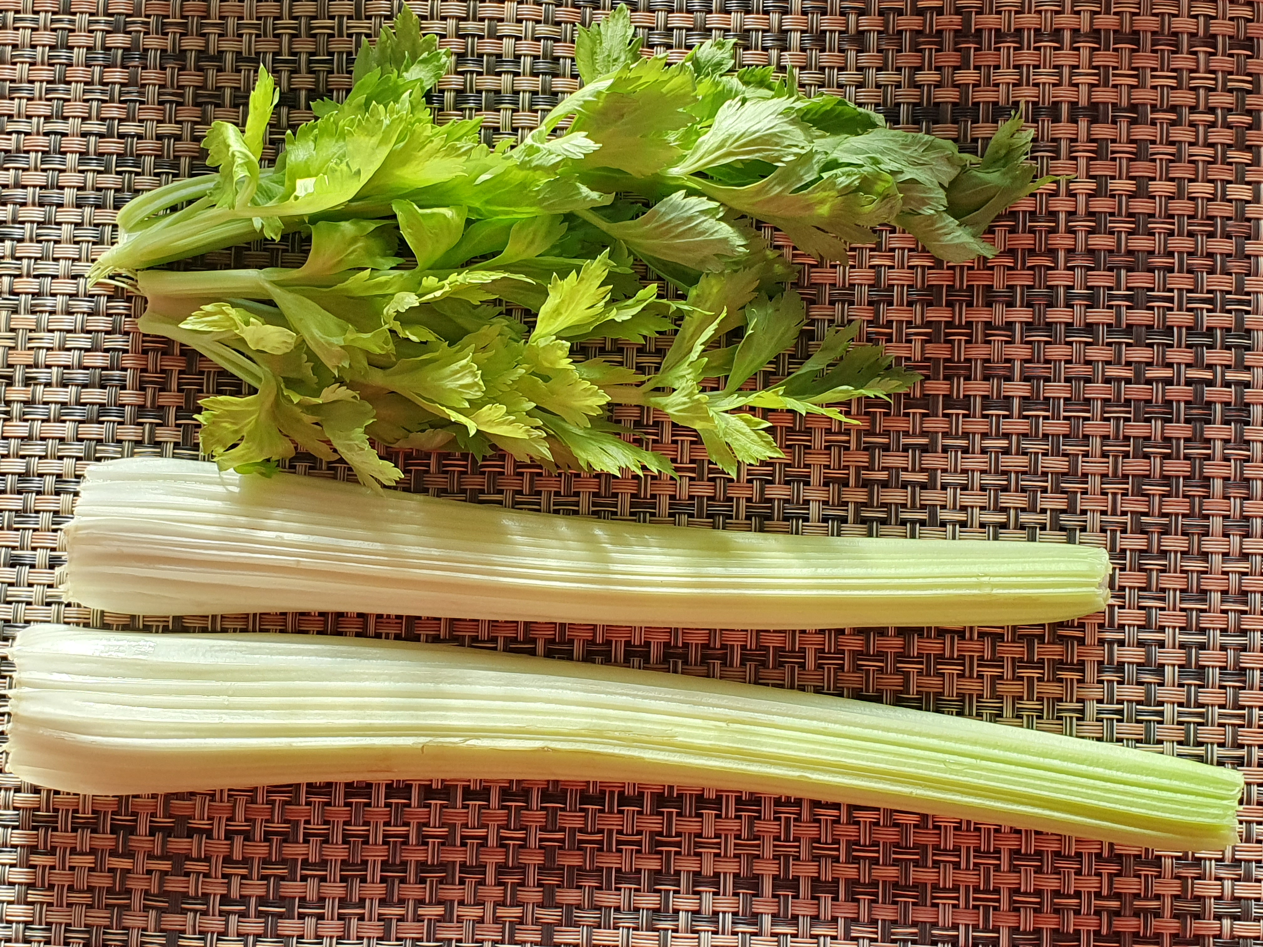 우리 몸에 좋은 셀러리(celery) 잎