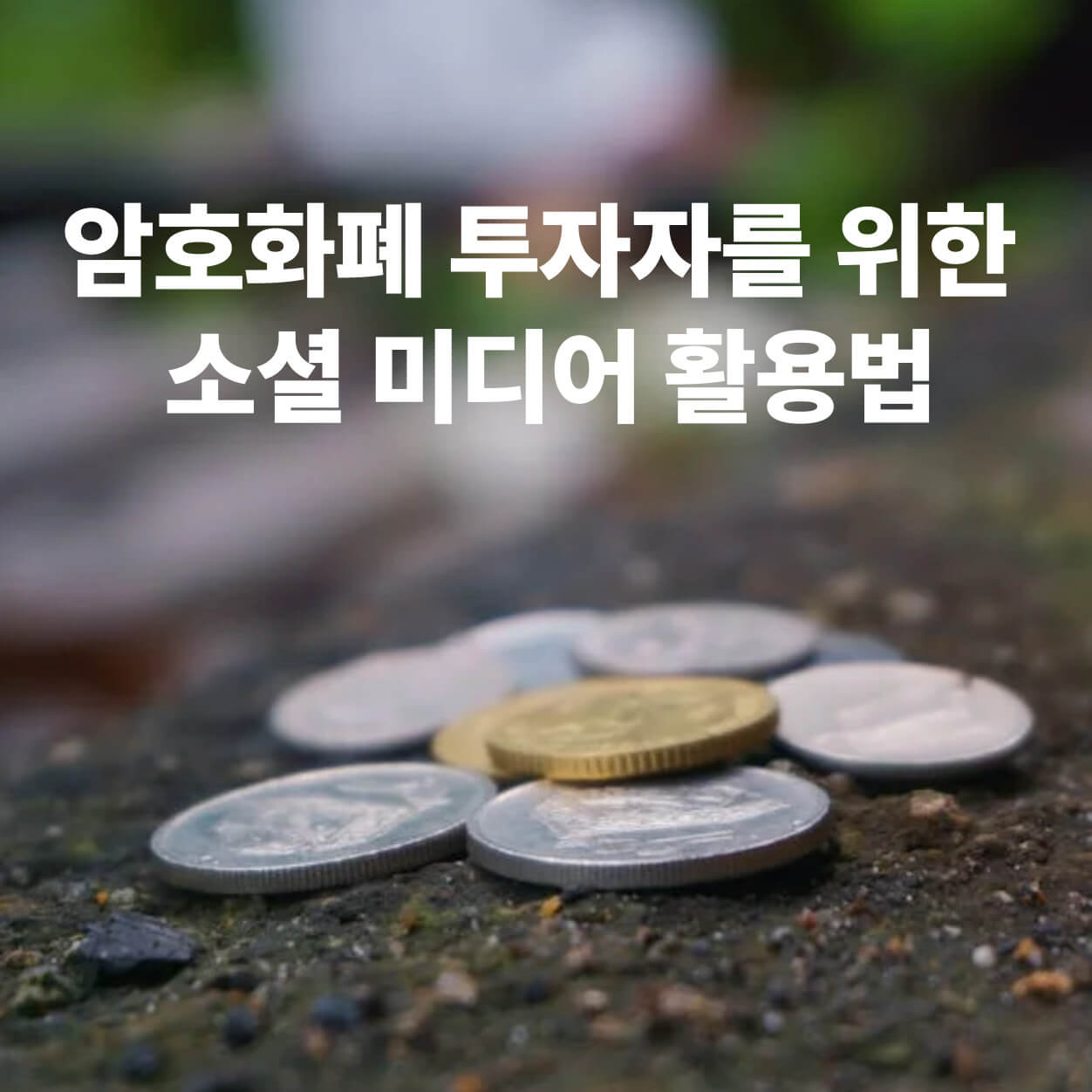 암호화폐-투자자를-위한-소셜-미디어-활용법