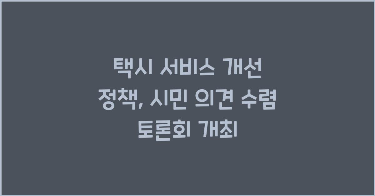 택시 서비스 개선 정책