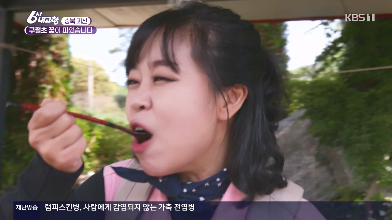 6시 내고향.E7910.231032p-NEXT.mp4_20231101_204603.092.jpg