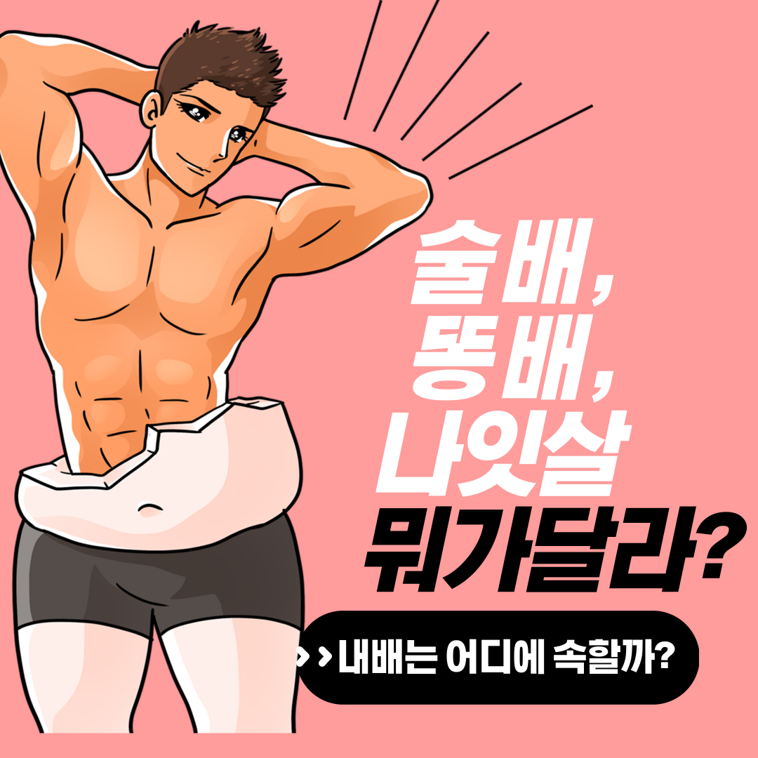 술배, 똥배, 나잇살 뭐가달라? 썸네일