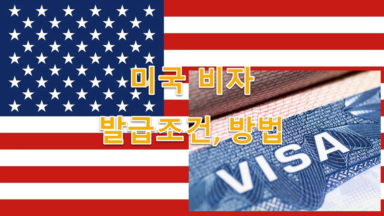 미국 비이민 비자의 종류 최신 정리