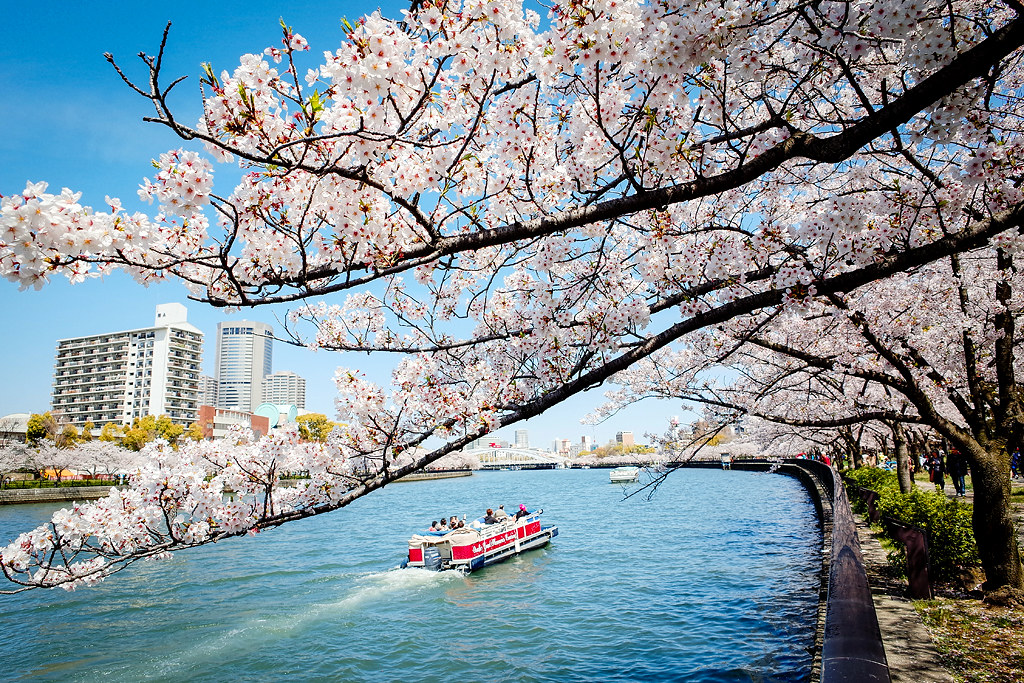 케마 사쿠라노미야 공원