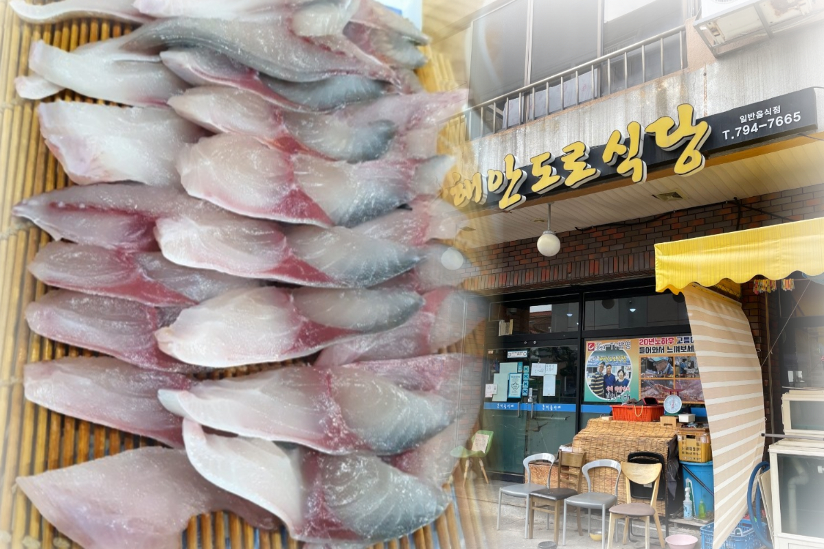  모슬포해안도로 식당 | 고등어회/고등어조림 맛집 추천 | 제주 연동 근처 음식점