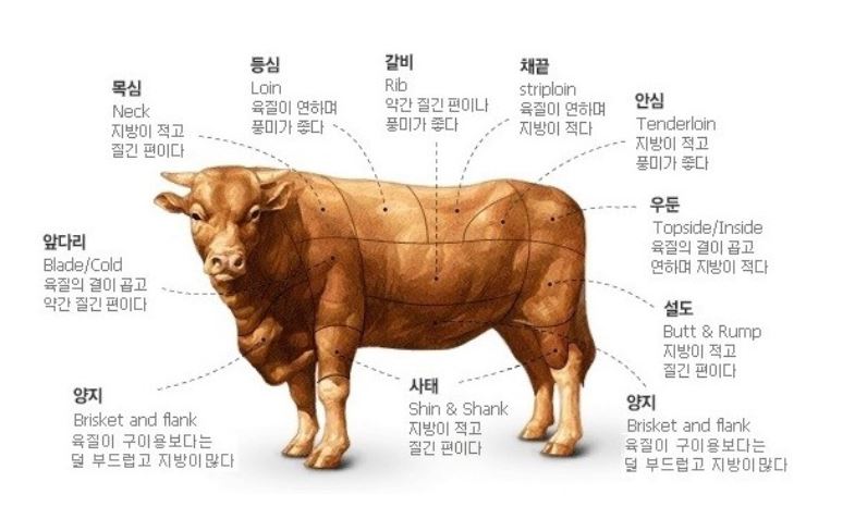 한우의 부위별 명칭