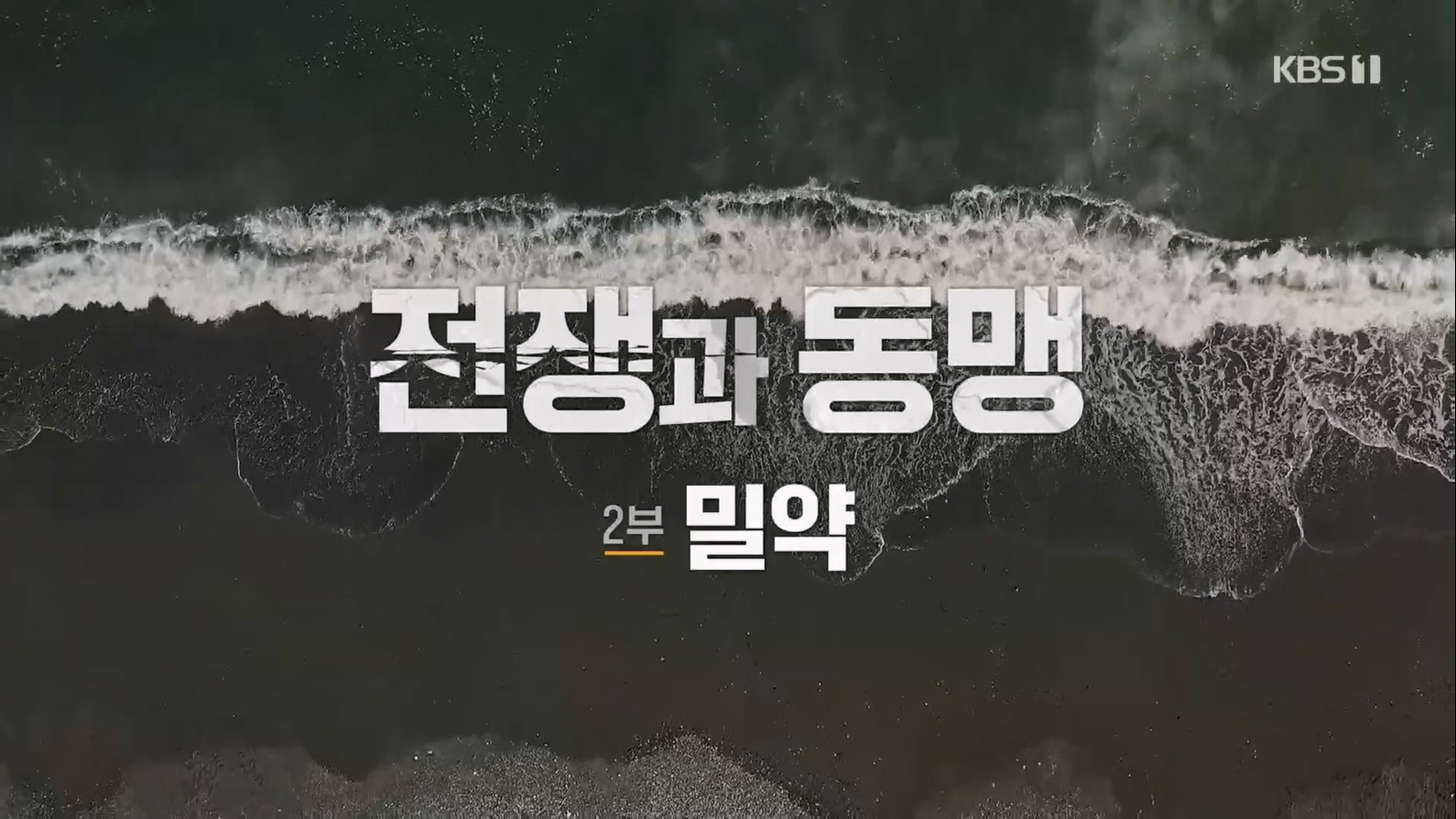 다큐 인사이트.E155.230629p.H264-F1RST.mp4_20230708_184706.494.jpg