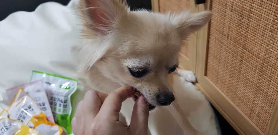 [강아지간식]허닭x핏펫몰 꼬꼬가슴살 맛있는 냄새로 6