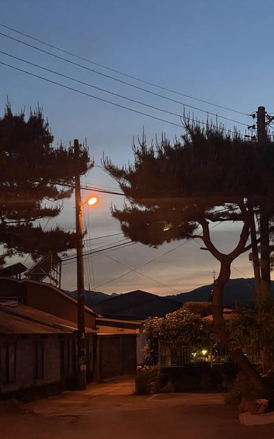 한옥 민박