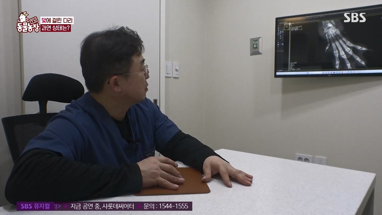 TV 동물농장.E1155.240122p-NEXT.mp4_20240121_145930.520.jpg