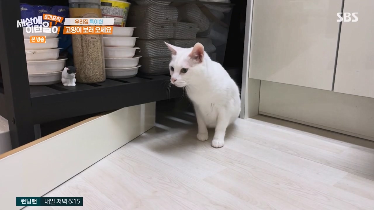 순간포착 세상에 이런일이.E1250.231029p-NEXT.mp4_20231029_153355.047.jpg