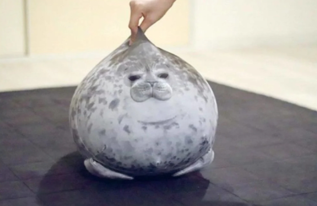  물개 쿠션 업체가 사과한 이유