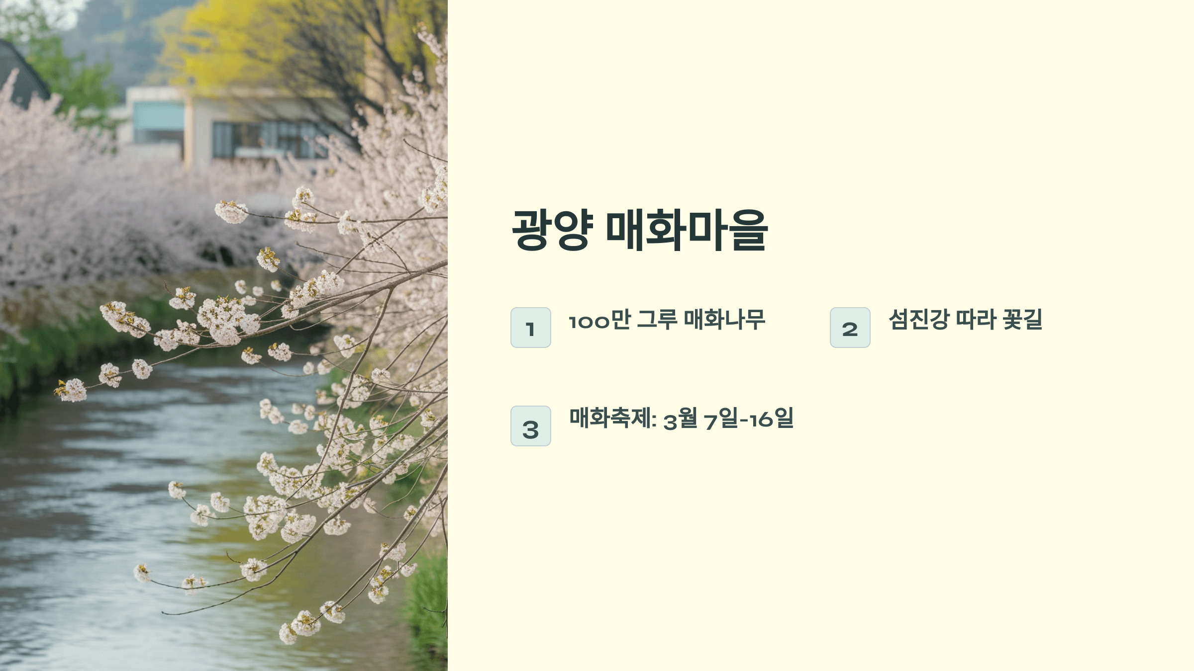 전국 매화 명소 추천: 봄꽃 여행지 BEST 6