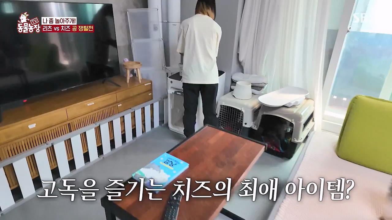 TV 동물농장.E1174.240603p-NEXT.mp4_20240602_155735.575.jpg