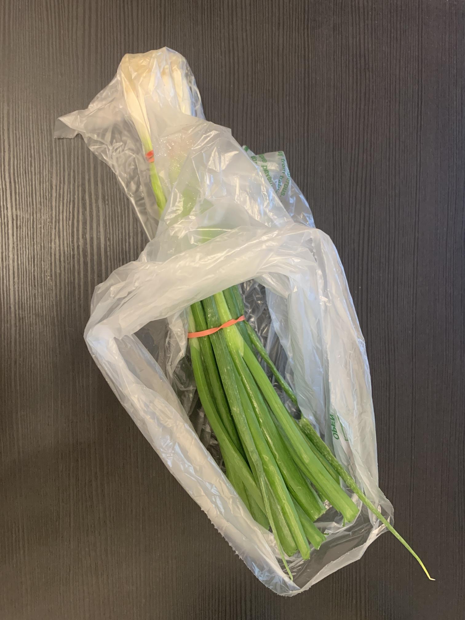 쪽파 사진
