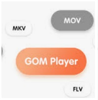 곰플레이어 사진 2