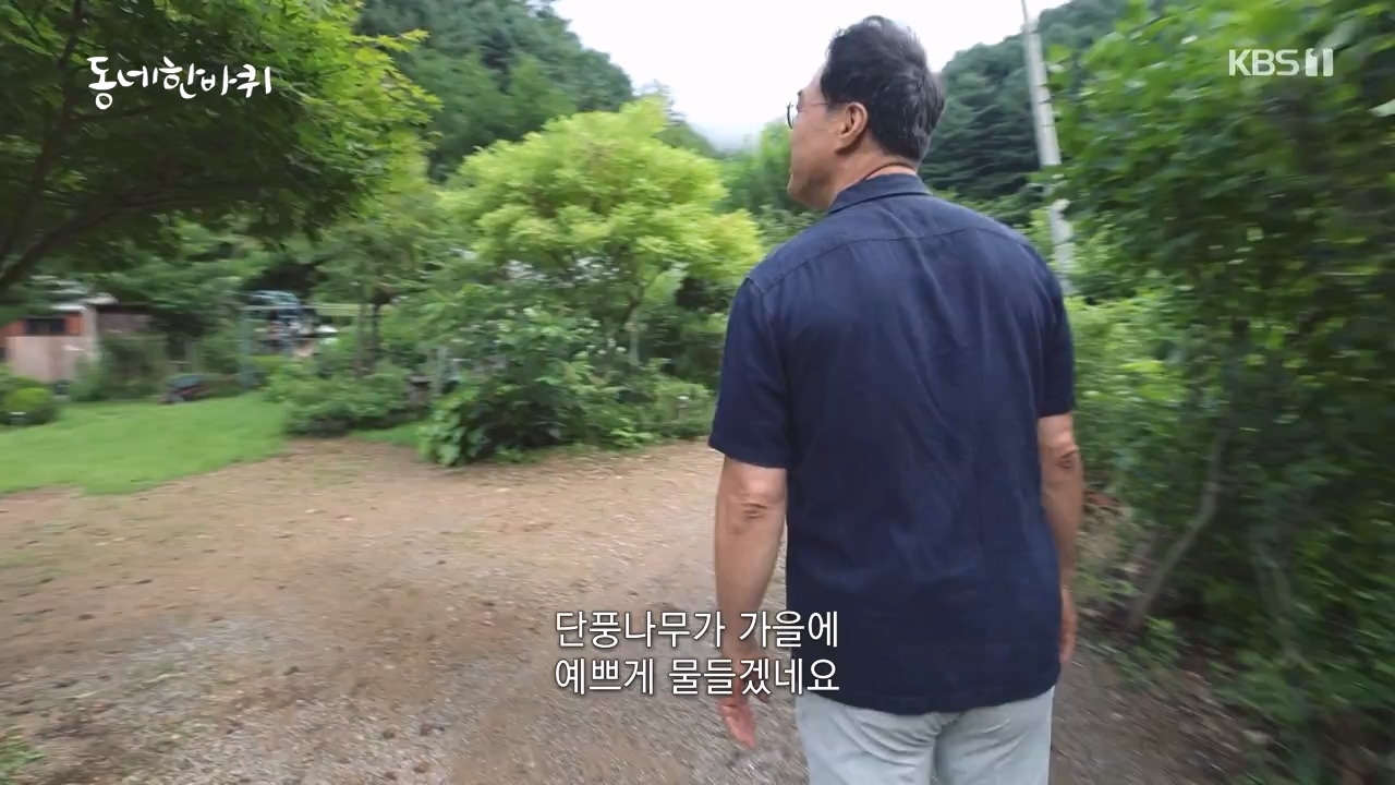동네 한 바퀴.E237.230827p-NEXT.mp4_20230829_212627.099.jpg